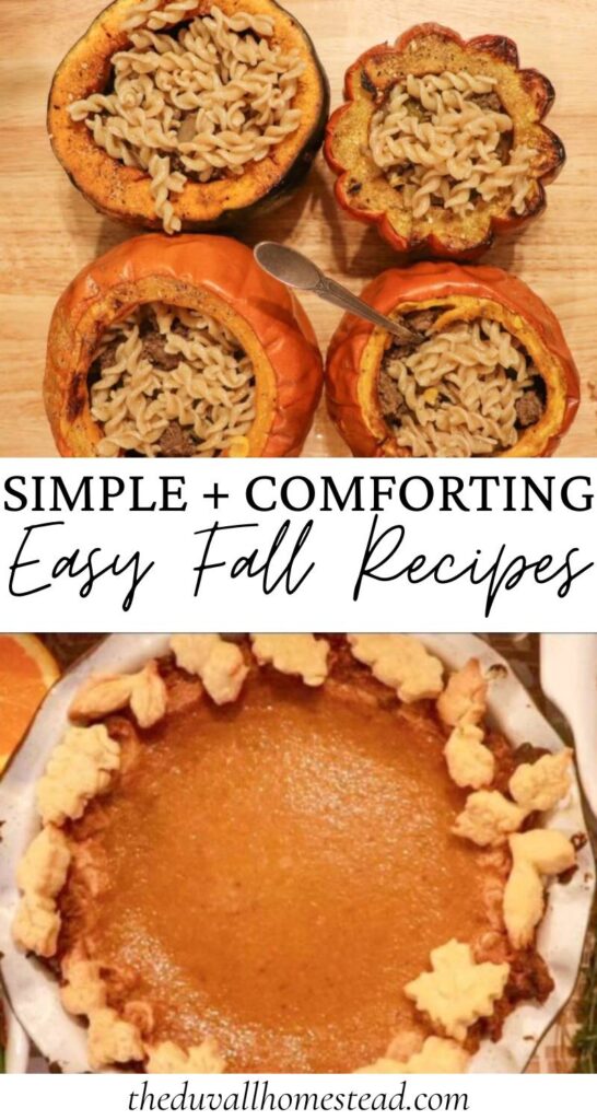 Looking for cozy fall recipes that make your home smell amazing? This roundup features simple fall recipes and healthy fall dinners made with seasonal favorites like pumpkin, apple, and roasted root vegetables. Discover make-ahead fall meals, slow cooker favorites, and hearty soups perfect for cool weather. Whether you’re craving a wholesome farmhouse fall dinner or a cinnamon and spice dessert, these autumn recipe ideas bring warmth and comfort to every table.