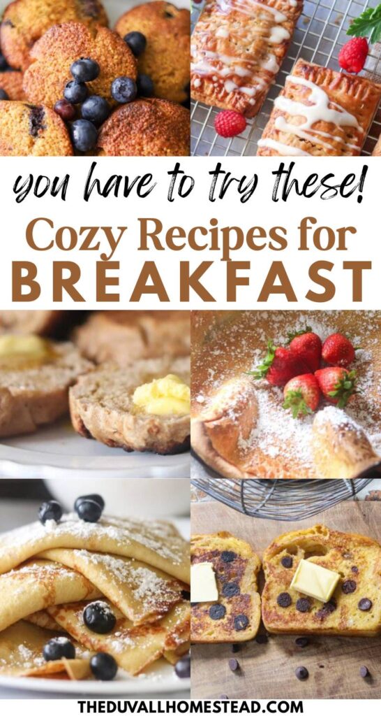 These sourdough breakfast recipes are perfect for anyone who loves starting the morning with something homemade. From quick pancakes and biscuits to make-ahead skillet breakfasts, this roundup includes easy sourdough recipes that fit right into a busy schedule. Warm, comforting, and full of flavor, they’re the kind of recipes that bring everyone to the table without extra fuss.