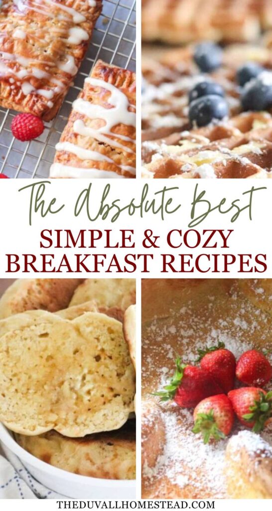 Looking for simple sourdough breakfast recipes that actually fit into everyday life? This roundup is full of cozy, homemade favorites like pancakes, biscuits, English muffins, and more. Whether it’s a busy weekday morning or a slow weekend, these easy sourdough recipes are reliable, delicious, and perfect for the whole family. Start the day with something warm, homemade, and full of that classic sourdough flavor.