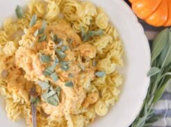 plate of pasta with pumpkin carrot sauce on top