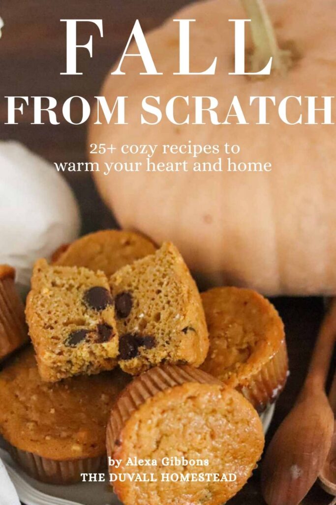 fall from scratch graphics