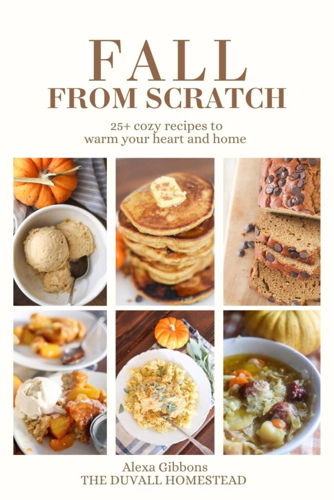 fall from scratch graphics