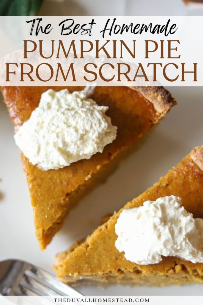 If you’ve ever wondered how to make pumpkin pie from scratch with real pumpkin and a nourishing crust, this whole wheat pumpkin pie recipe is a beautiful place to start. The filling is creamy and lightly spiced, and the sourdough pumpkin pie crust brings an old-fashioned, homestead flavor that pairs perfectly with fall gatherings. This healthy whole wheat pumpkin pie is perfect for Thanksgiving or any cozy Sunday baking session at home.