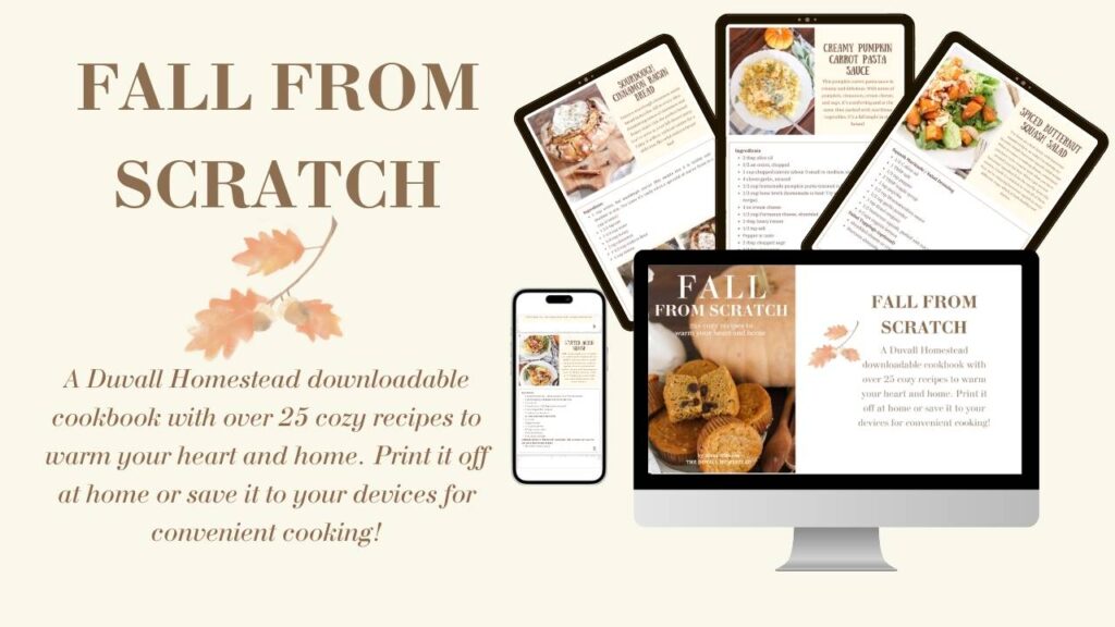 fall from scratch graphics