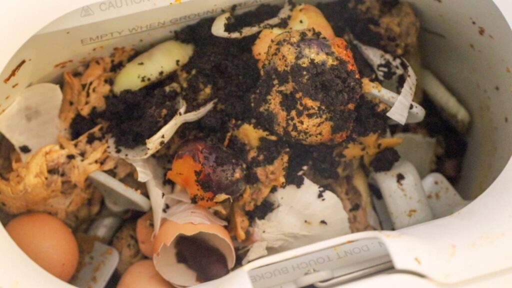 Inside view of the Mill food recycler filled with food scraps