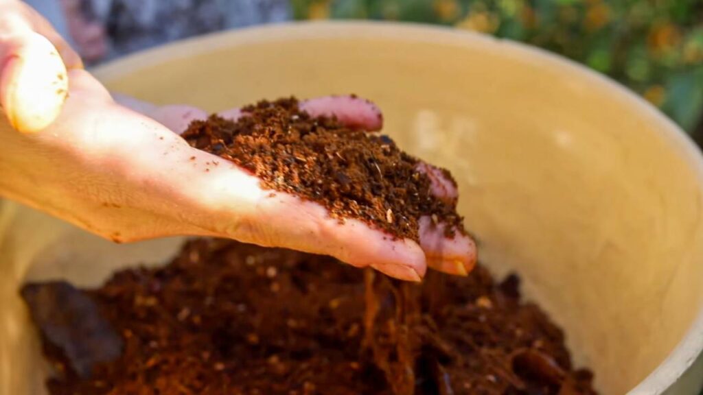 Hand holding finished food grounds from the Mill food recycler.