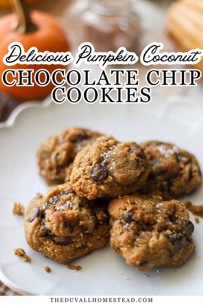 Soft and cozy pumpkin coconut chocolate chip cookies made from scratch with whole grain flour. A nourishing fall treat perfect for homestead kitchens and family baking days.