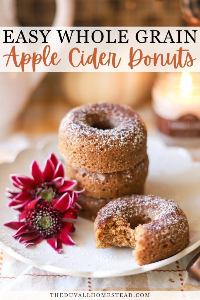 These whole grain apple cider donuts are made completely from scratch using freshly milled flour and real apple cider. Baked instead of fried, they’re soft, cozy, and lightly spiced with warm fall flavors. Reducing the apple cider creates rich apple flavor without extra sugar, making these donuts perfect for homestead kitchens, weekend baking, and family breakfasts during the fall season.