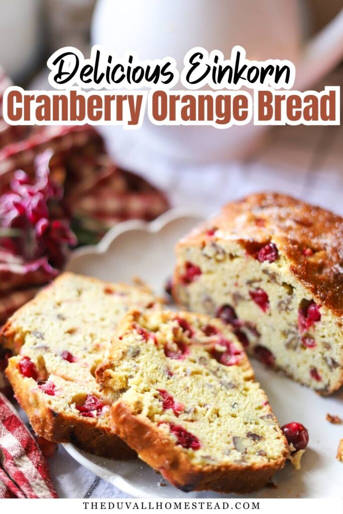 This einkorn cranberry orange bread is a simple from-scratch loaf made with einkorn flour, fresh orange juice, maple syrup, and tart cranberries. Lightly sweet and easy to make, this cranberry orange bread recipe is perfect for breakfast, snacking, or sharing with friends. A cozy winter quick bread that freezes well and fits naturally into homestead-style baking.