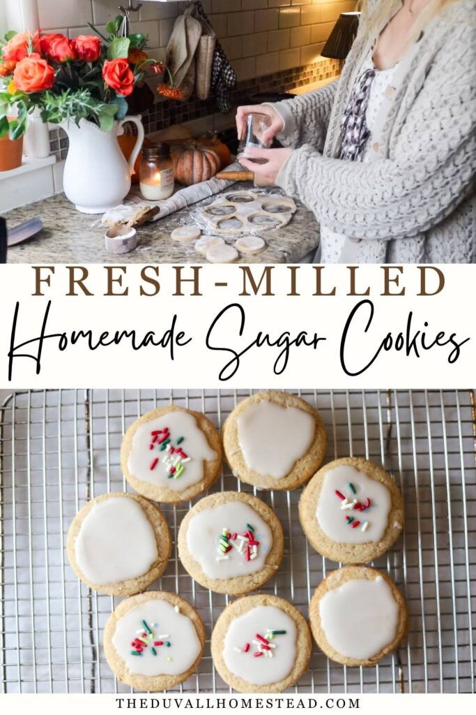 These sourdough sugar cookies are made from scratch with whole grain flour and simple pantry ingredients. Soft, easy to roll, and perfect for cutting and decorating, this sourdough sugar cookie recipe is a great way to use sourdough discard while baking nourishing treats at home. Pair them with homemade meringue powder frosting for holidays, birthdays, or cozy baking days.