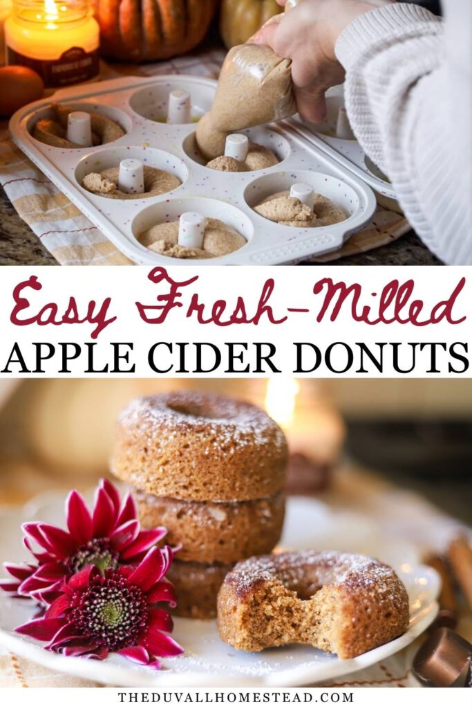 These whole grain apple cider donuts are made completely from scratch using freshly milled flour and real apple cider. Baked instead of fried, they’re soft, cozy, and lightly spiced with warm fall flavors. Reducing the apple cider creates rich apple flavor without extra sugar, making these donuts perfect for homestead kitchens, weekend baking, and family breakfasts during the fall season.