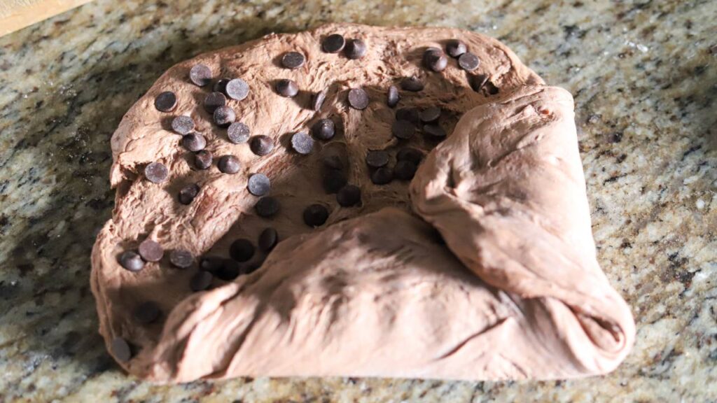 Folded chocolate sourdough dough ready for proofing