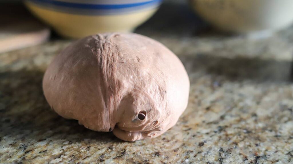 Chocolate sourdough bread dough ball on counter
