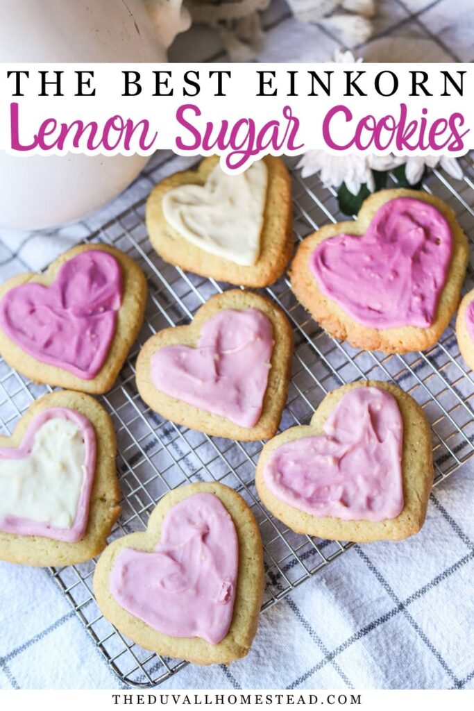 These einkorn lemon sugar cookies are soft, lightly chewy, and made completely from scratch using einkorn flour and fresh lemon juice. A simple lemon cookie recipe that works beautifully for Valentine’s Day cookies, spring baking, or an easy dessert idea for everyday homestead life.