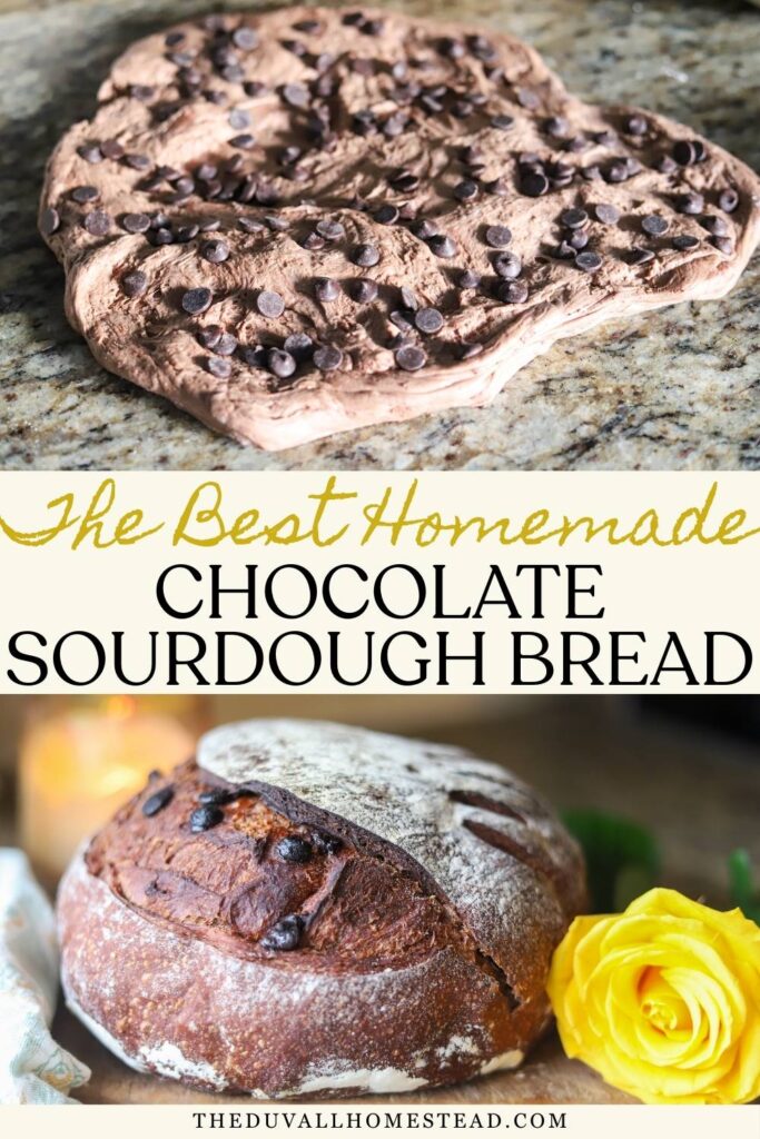 Looking for a sweet sourdough bread recipe? This homemade chocolate sourdough loaf has a soft crumb, crackly crust, and pockets of chocolate in every bite. Made with real ingredients and long fermentation, it’s a nourishing from-scratch bread your whole family will love.