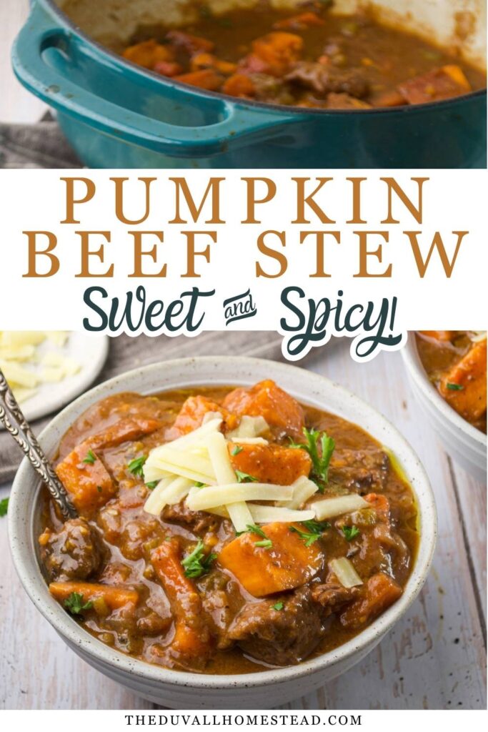 This homemade pumpkin beef stew is a cozy fall stew recipe made with tender beef, pumpkin, and warm sweet and spicy flavors. A hearty one-pot beef stew that’s perfect for cool weather, family dinners, and from-scratch comfort food cooking.