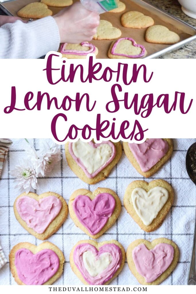 If you love baking with ancient grains, these einkorn lemon sugar cookies are a must-try. Made with einkorn flour, fresh lemon juice, and simple pantry ingredients, this easy lemon dessert is perfect for family gatherings, seasonal baking, or sweet homemade Valentine’s Day cookies.