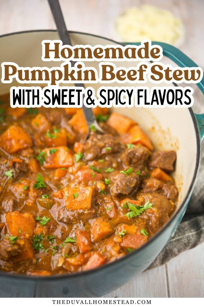 This homemade pumpkin beef stew is a cozy fall stew recipe made with tender beef, pumpkin, and warm sweet and spicy flavors. A hearty one-pot beef stew that’s perfect for cool weather, family dinners, and from-scratch comfort food cooking.