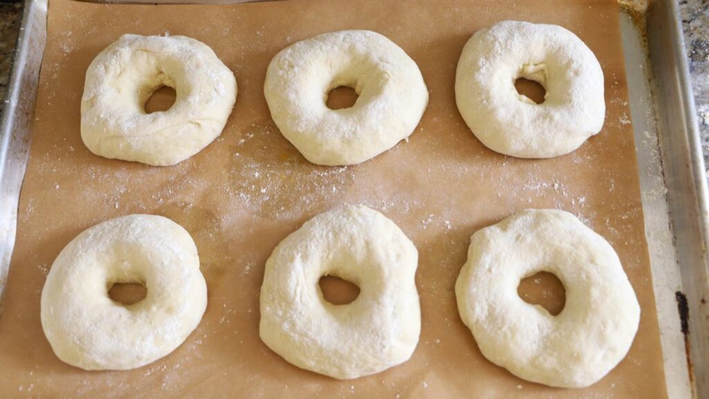 Raw einkorn sourdough bagels shaped and resting on baking sheet