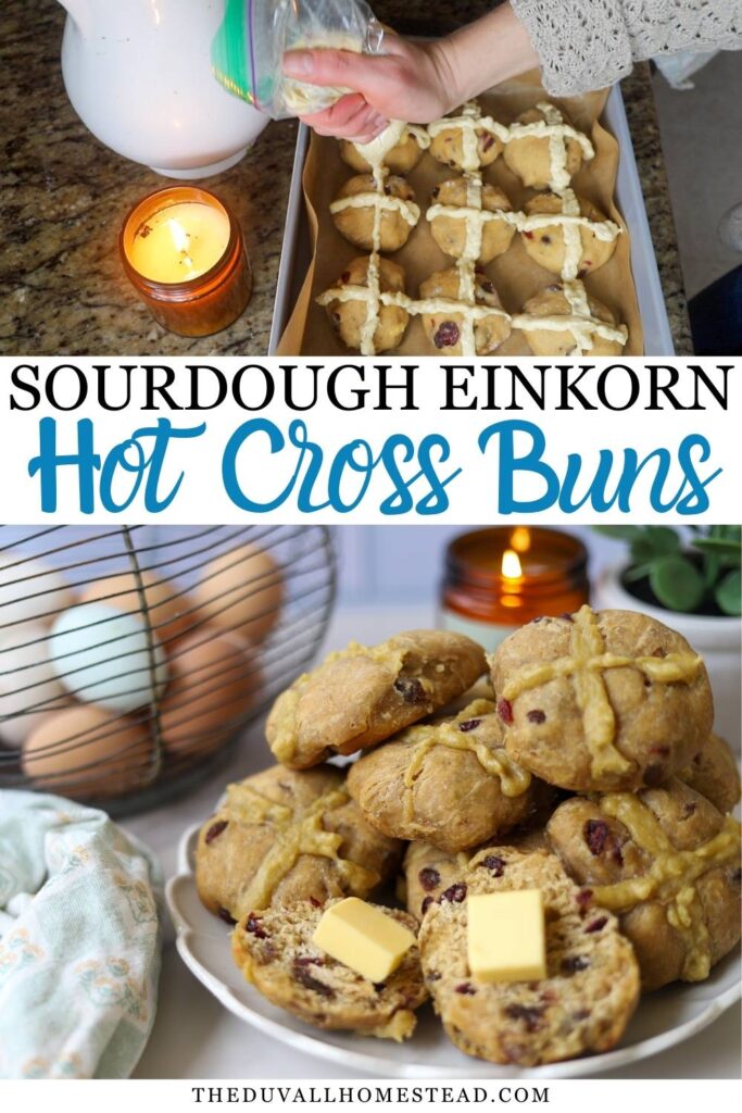 Looking for a traditional sourdough hot cross buns recipe? These soft einkorn hot cross buns are made with sourdough starter, warm spices, citrus zest, and dried fruit for the classic Easter flavor everyone loves. This homemade hot cross buns recipe is perfect for Easter morning, spring brunch, or anyone who enjoys baking sourdough bread from scratch.
