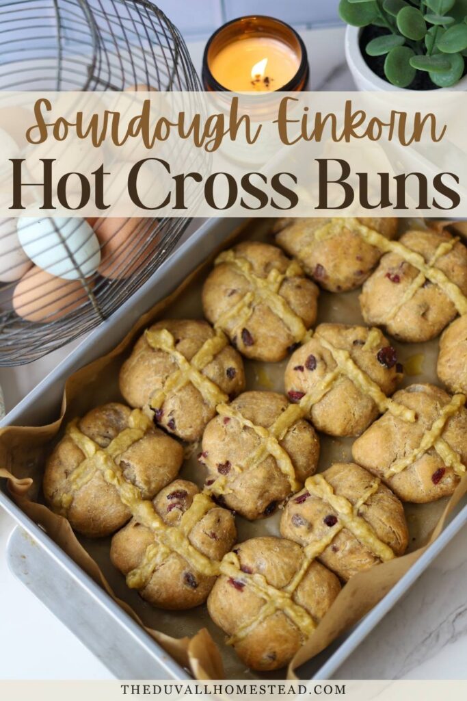 These sourdough einkorn hot cross buns are a traditional Easter recipe made the old-fashioned way with sourdough starter and nourishing einkorn flour. Soft, lightly sweet buns filled with warm spices, raisins, and cranberries make the perfect spring breakfast or Easter brunch treat. If you love homemade sourdough bread, traditional hot cross buns, and from-scratch baking, this recipe is a must-try.