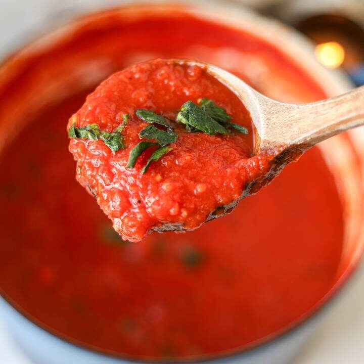 Spoonful of homemade tomato basil pasta sauce over pot