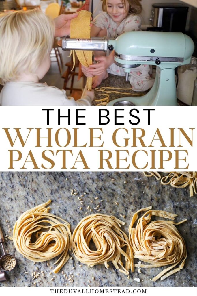 Learn how to make this easy whole grain pasta recipe from scratch with simple ingredients. This homemade whole wheat pasta is hearty, fresh, and perfect for cozy family meals. If you’ve wanted to try homemade pasta recipe ideas, this healthy pasta recipe is a wonderful beginner-friendly place to start.