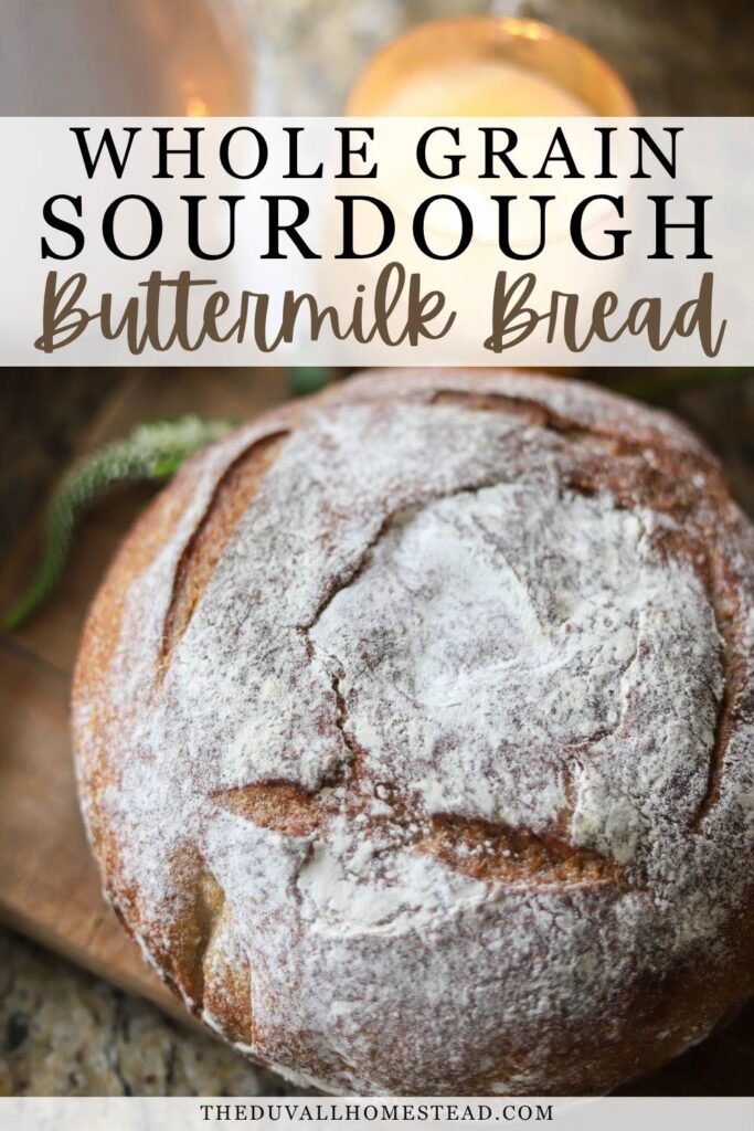This whole grain sourdough buttermilk bread is a soft and nourishing sandwich loaf made with simple, from-scratch ingredients. With tangy sourdough starter, rich buttermilk, and hearty whole wheat flour, this easy sourdough bread recipe creates the perfect balance of flavor and texture. Great for toast, sandwiches, or serving with dinner, this homemade sourdough sandwich bread is a staple for any homestead kitchen.