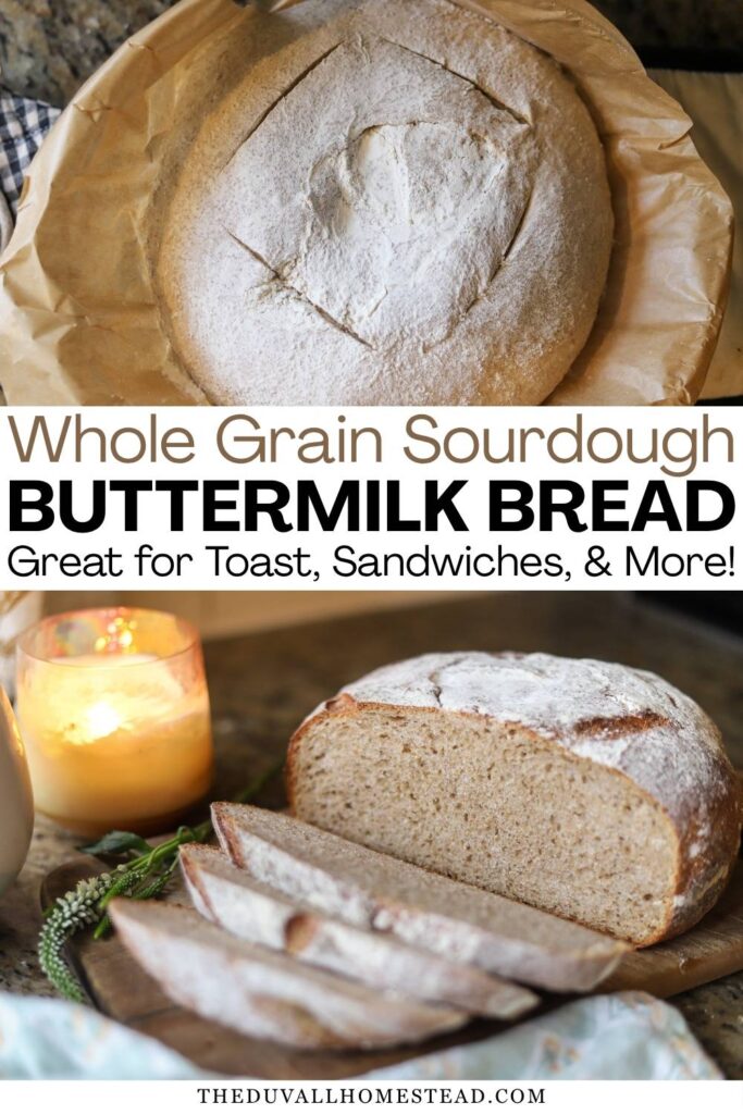 Looking for a soft whole wheat sourdough bread that’s perfect for everyday use? This sourdough buttermilk bread recipe combines whole grain flour, active sourdough starter, and buttermilk for a tender, flavorful loaf. It’s ideal for sandwiches, freezer-friendly, and made completely from scratch. If you love homemade sourdough bread with simple ingredients, this is one you’ll come back to again and again.