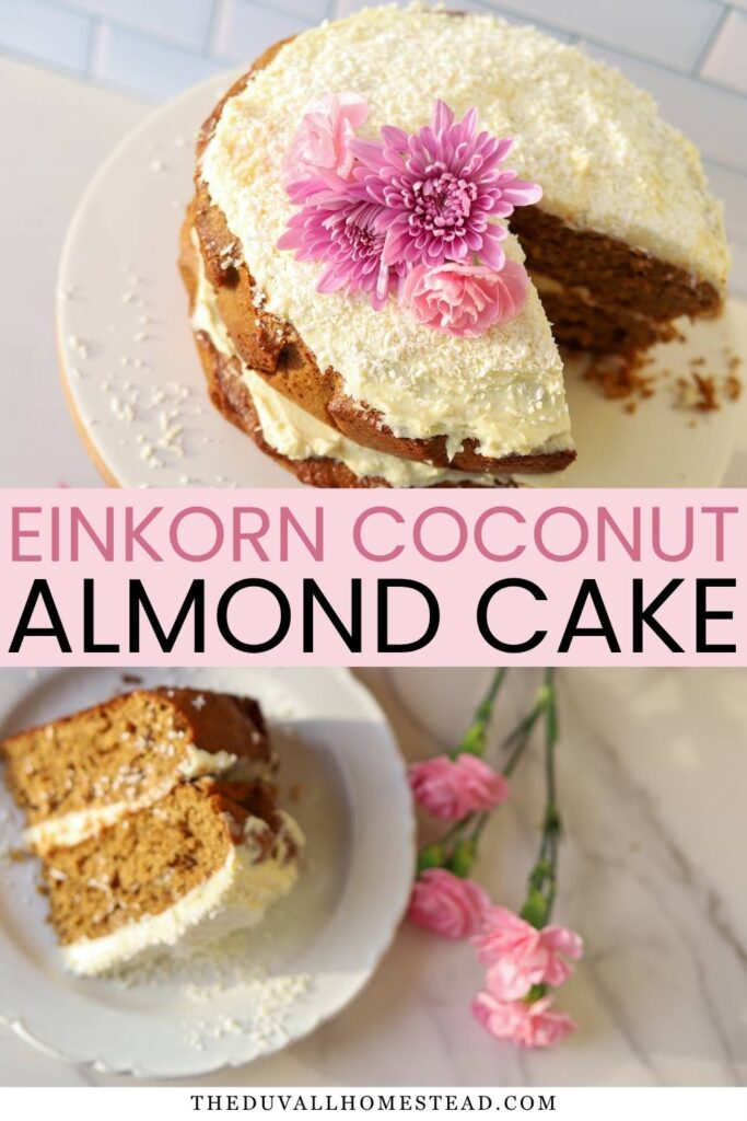 This einkorn coconut almond cake is soft, moist, and made from scratch with wholesome ingredients like einkorn flour, coconut sugar, and coconut milk. Topped with cream cheese buttercream frosting, it’s the perfect cozy dessert for family gatherings or slow weekends.