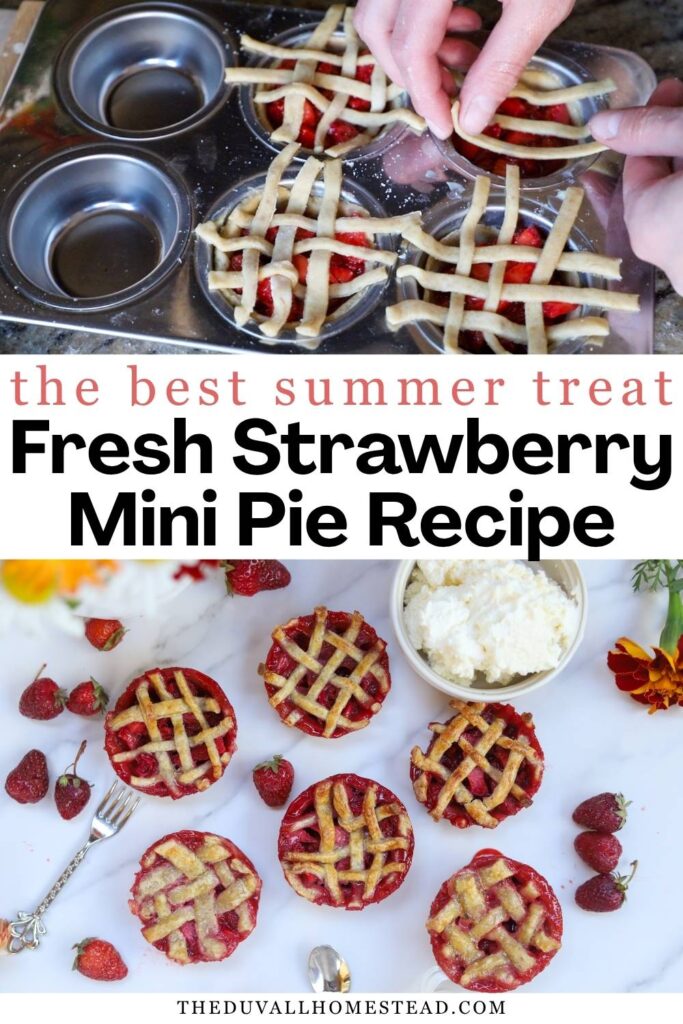 Looking for the perfect fresh strawberry dessert? These Mini Strawberry Pies are made with a flaky homemade pie crust and a sweet, juicy fresh strawberry filling for the ultimate easy summer dessert. These individual strawberry pies are perfect for picnics, BBQs, parties, and strawberry season. Save this homemade mini pie recipe for a delicious summer treat everyone will love!