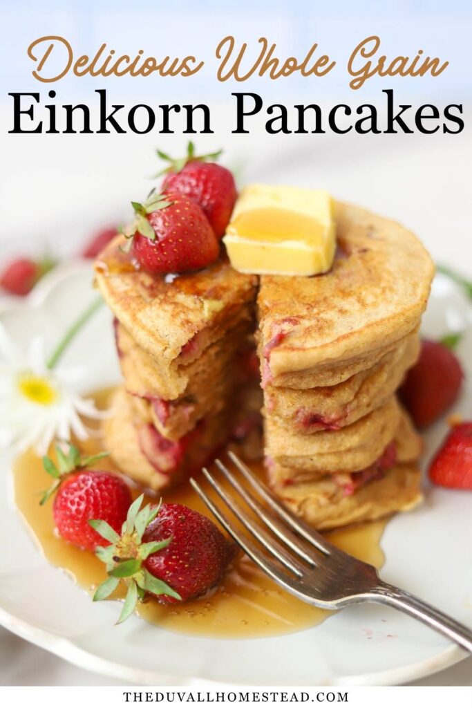 These whole grain einkorn pancakes are soft, fluffy, and packed with juicy strawberries in every bite! Made with freshly milled einkorn flour, this easy breakfast recipe is full of wholesome ingredients and perfect for slow summer mornings. Save this healthy strawberry pancakes recipe for a delicious homemade breakfast the whole family will love.