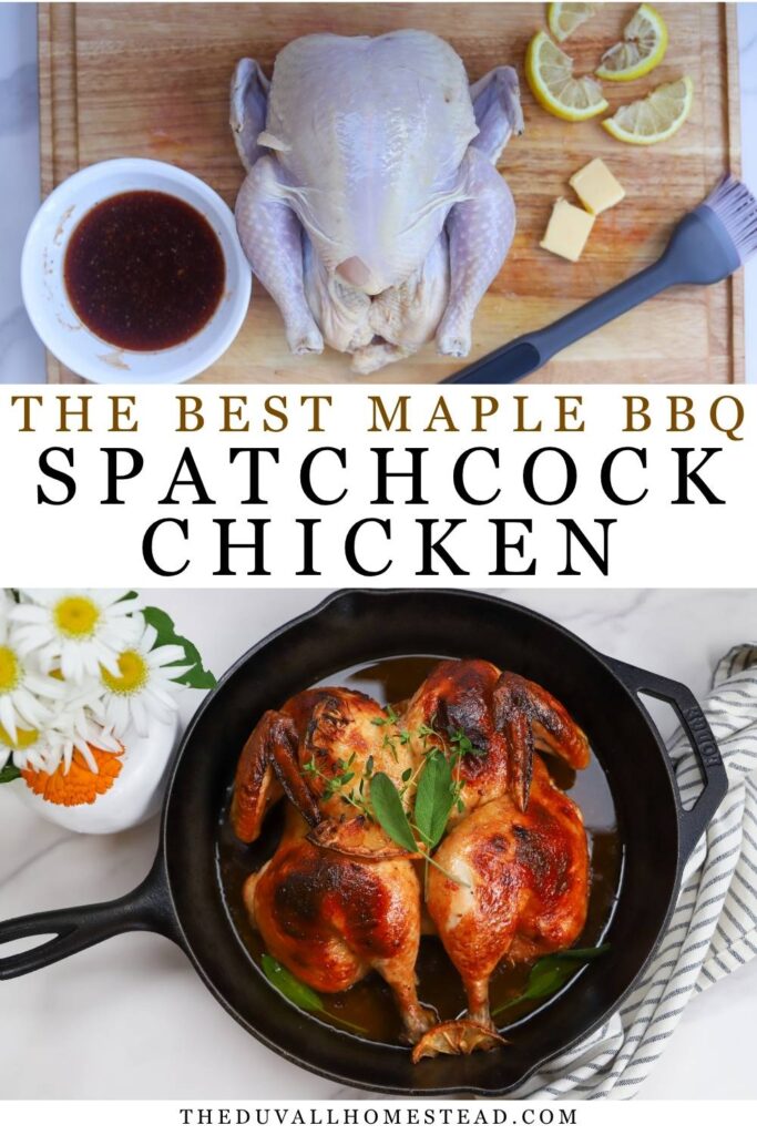 This Maple BBQ Spatchcock Chicken is the ultimate summer family dinner. Roasted in a cast iron skillet and brushed with a sweet and smoky maple BBQ glaze, this cast iron spatchcock chicken turns out juicy with perfectly crispy skin every time. Learn how to cook spatchcock chicken in cast iron for an easy whole chicken recipe that's perfect for Sunday dinner, backyard BBQ flavors, and nourishing homestead meals.