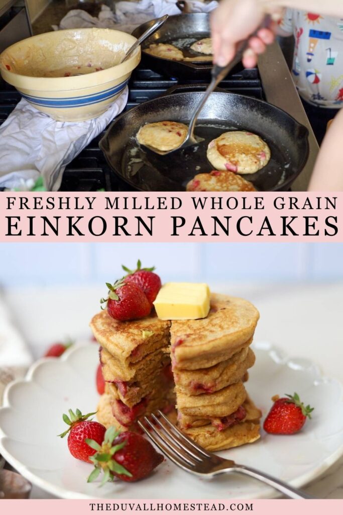 Looking for the best whole grain einkorn strawberry pancakes? This freshly milled einkorn pancake recipe is made from scratch with fresh or frozen strawberries for a nourishing breakfast everyone will enjoy. These easy einkorn pancakes are fluffy, freezer friendly, and perfect for summer breakfasts, meal prep, or using up fresh strawberries. Save this einkorn breakfast recipe for later!
