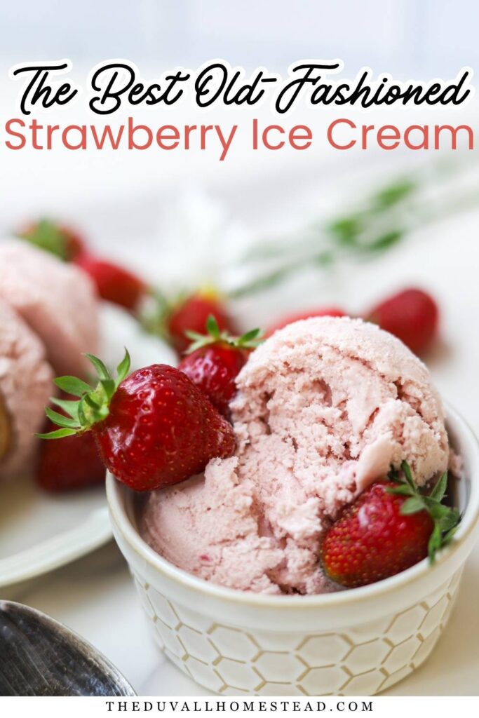 Looking for an easy homemade strawberry ice cream recipe? This creamy churned ice cream is made with fresh or frozen strawberries, whole milk, heavy cream, vanilla, and simple pantry ingredients. It’s an old-fashioned strawberry ice cream recipe that’s easy to make in an ice cream maker and perfect for summer!