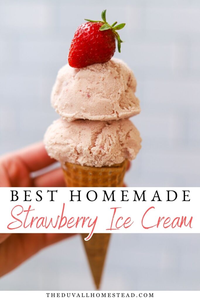 Looking for an easy homemade strawberry ice cream recipe? This creamy churned ice cream is made with fresh or frozen strawberries, whole milk, heavy cream, vanilla, and simple pantry ingredients. It’s an old-fashioned strawberry ice cream recipe that’s easy to make in an ice cream maker and perfect for summer!