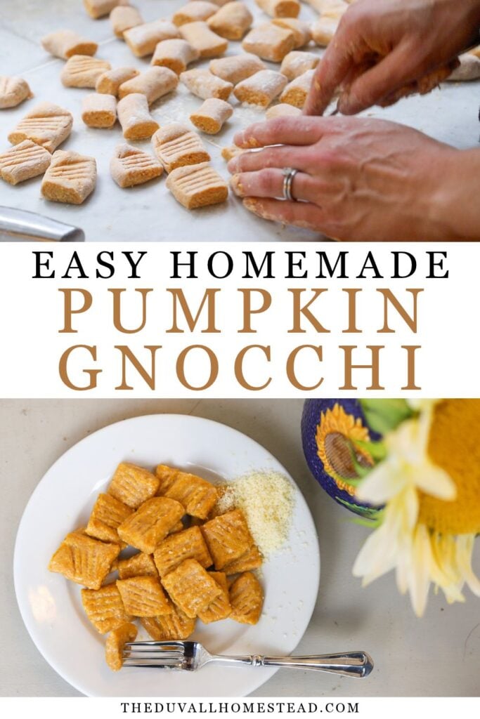 1. This homemade pumpkin gnocchi recipe is the perfect cozy fall dinner! Made with pumpkin puree, ricotta, Parmesan cheese, and warm spices, these soft, tender dumplings are easy to make from scratch. Try this delicious pumpkin pasta recipe with freshly milled flour or all-purpose flour for a comforting homemade meal!