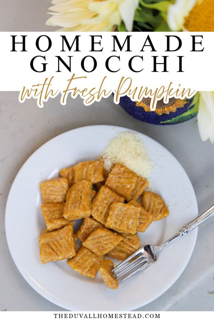2. Looking for an easy homemade pasta recipe to try this fall? This pumpkin gnocchi is made with simple ingredients like pumpkin puree, ricotta, and freshly grated Parmesan. These tender pumpkin dumplings are full of flavor and pair perfectly with olive oil or your favorite sauce. Save this homemade pumpkin gnocchi recipe for your next fall dinner!